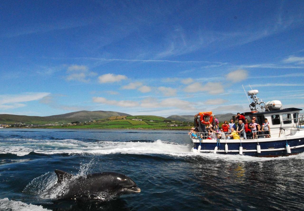 Dingle Harbour Cottages 3 Bed Sleeps 7 By Trident Holiday Homes Eksteriør billede